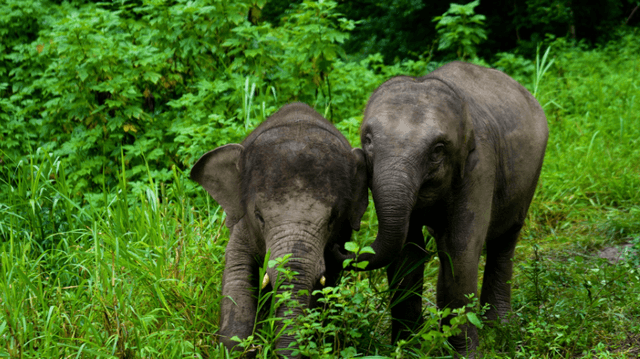 c25f0d89-27f4-481f-9c34-97a75b887bde1724925163671